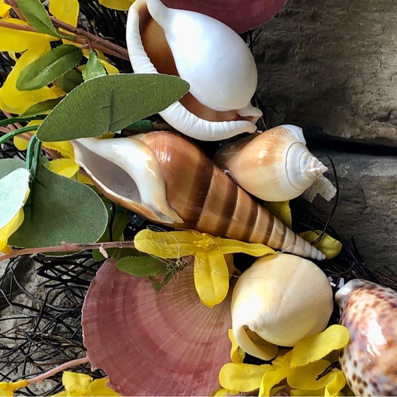 New! Seashell Starfish Forsythia Floral Willow Wreath - Picture 8 of 15